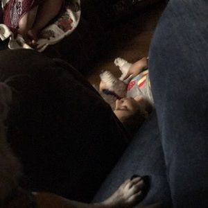 Meet your Posher, Korina